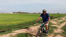 Bicycle Tour to Local village and rice fields in Siem Reap