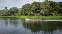 Panama Canal Wildlife Boat Safari & Panamanian Brunch