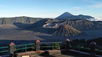 Bromo sunrise tour with start in Bali - flights included // 1 day tour