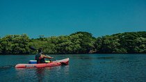 Tamarindo Kayak Estuary Mangrove Tour