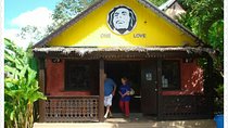 Bob Marley Nine Mile Private Tour from Montego Bay