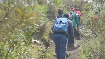 1 Day Hiking Adventure At Mt Longonot From Nairobi(minimum 2 Pax)