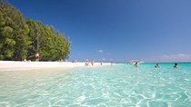 Private Tour to Phi Phi & Maya Bay & Bamboo Islands