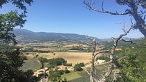 Full day of the top 3 Luberon Hilltop Villages from Marseille / Aix-en-Provence