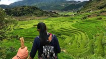Sapa Trekking with Mama Chao 2Days/1Night - Limousine Bus - Sleep homestay 