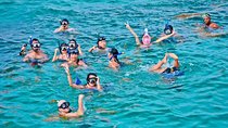 Catalina Island & Snorkling Tour Full Day All Inclusive