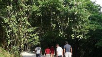 Mussoorie Nature Walk Tour