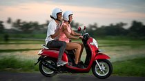 Canggu Scooter Lessons