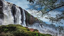 Athirappilly & Vazhachal Waterfalls Private Day Tour from Kochi