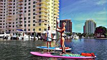 Seven Isles Tour & Exclusive Fort Lauderdale Mangrove & ECO Paddle Board / Kayak