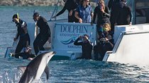 2 Day Kaikoura Whale and Dolphin Tour from Christchurch