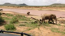 5-Days Refreshing Safari at Masai mara, Lake Nakuru and Naivasha.