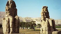 Luxor Day Tour,Kings Valley,Karnak,Camel,And More Including Flight from Cairo