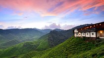 Cameron Highlands Full-Day Tour