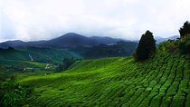 Kuala Lumpur to Cameron Highlands