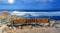 Full Day Cape Point & Peninsula Tour