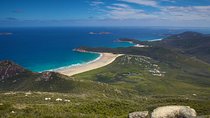 Wilson's Promontory & Phillip Island - 'Prom & Penguins' Tour