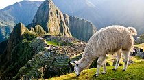 Machu Picchu By Train (Day Trip)