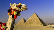Private Tour to Giza Pyramids, Sphinx, Coptic Cairo and Islamic Cairo