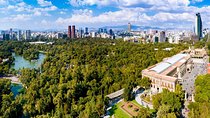Private Walking Tour Anthropology Museum & Chapultepec Castle 