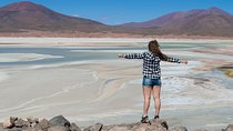 Puna Salt Flats - Full Day Tour - San Pedro de Atacama - Must Visit