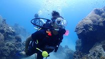 Introductory dive for non-certified divers