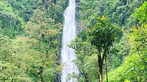 Materuni waterfalls and coffee Tour