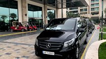Istanbul Majesty: 6 or 10-Hour VIP Chauffeur Experience