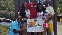 Private Tour Montego Bay To Blue Hole and Dunns River falls 
