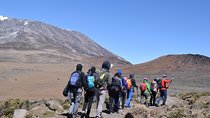 6 day Mount Kilimanjaro Trek- Marangu route