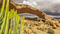 Tenerife South Private Tour: Secrets of the Volcanoes 