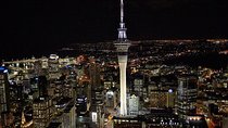 Auckland City Tour — Fast, Fun & Full of Views! (Half-Day)