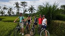 Bali Bike Ride Experience