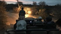 Private : Night Drive in Yala National Park Buffer Zone