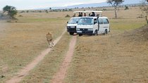 4 Day Private Masai Mara National Reserve & Lake Nakuru National Park Safari
