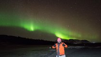 Northern Lights Small-Group Tour From Reykjavik with Hot Drink