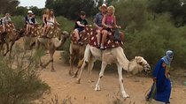 Camel Riding in Agadir