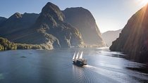 3 Day Doubtful Sound Overnight Cruise and Glowworm Tour from Queenstown