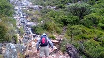 Hiking and Trekking on Table Mountain + Transport 