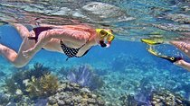 Snorkeling, Flying Fish & Banana Rafting Experience In Tanjung Benoa