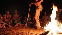 4 Day Desert & Bushmen Trail: Central Kalahari Game Reserve - WildCamping Safari