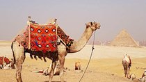 Guided Half-Day Trip to Giza Pyramids with Camel-Riding