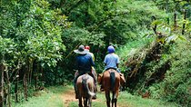 Horseback Riding and Waterfalls from Manuel Antonio