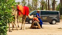 Camel Ride & Quad Biking Half Day in Marrakech