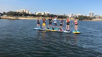 Stand Up Paddle Board Hire