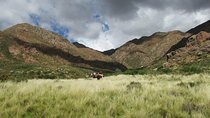 Horseback expedition to The Andes, 3 days