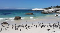 Cape Peninsula Day Tour