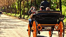 Horse-Drawn Carriage Ride through Seville