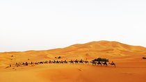 Morocco Desert Tour