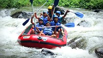 White Water Rafting - Ayung River